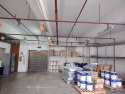 Loyang Industrial Estate (D17), Factory #468748811